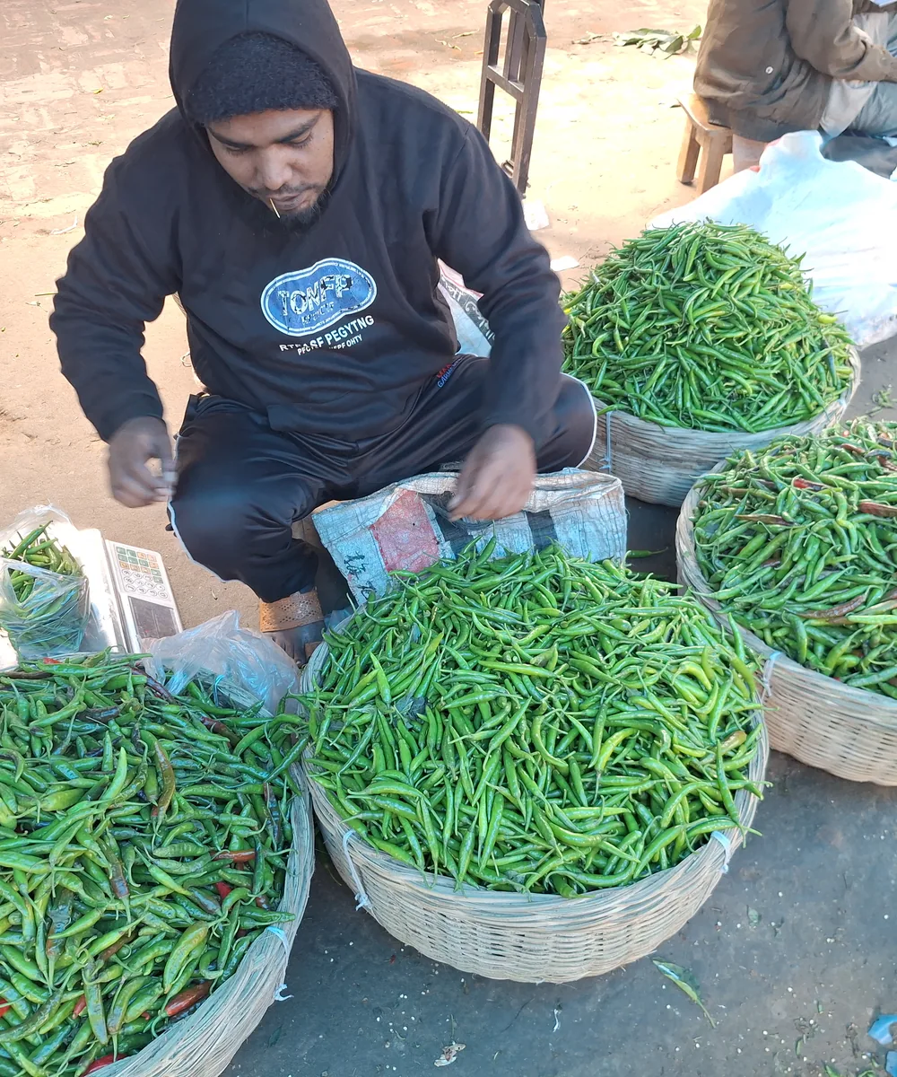 A market operator sorting green chillies into baskets