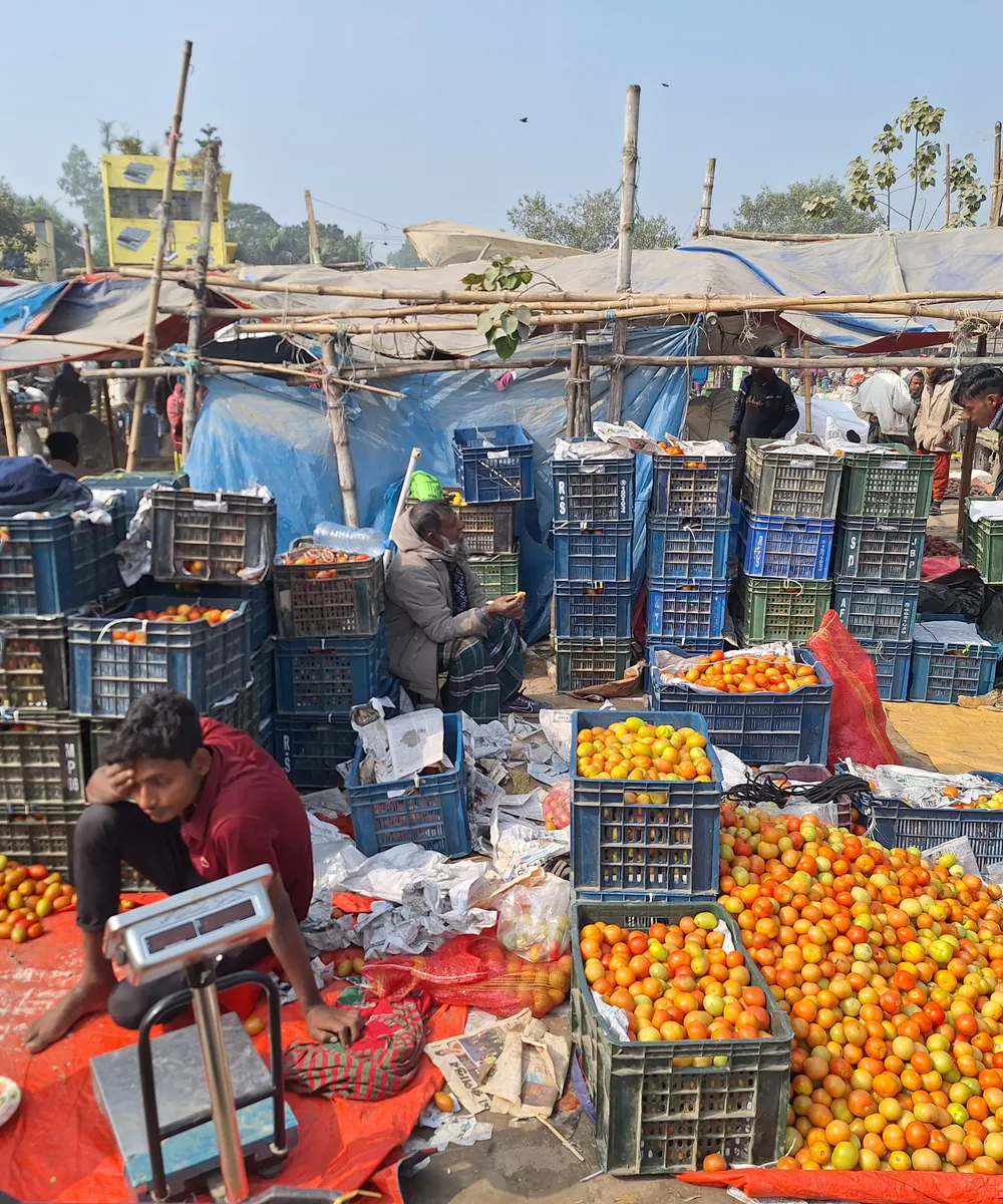 Tomatoes being weighed and exchanged in a wholesale market