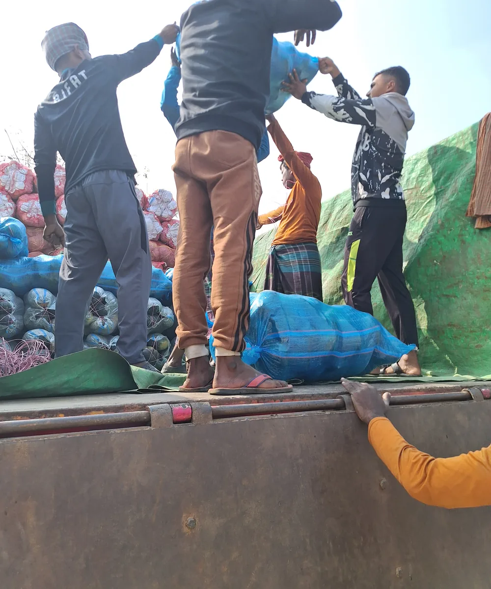 Produce sacks being loaded for onward movement