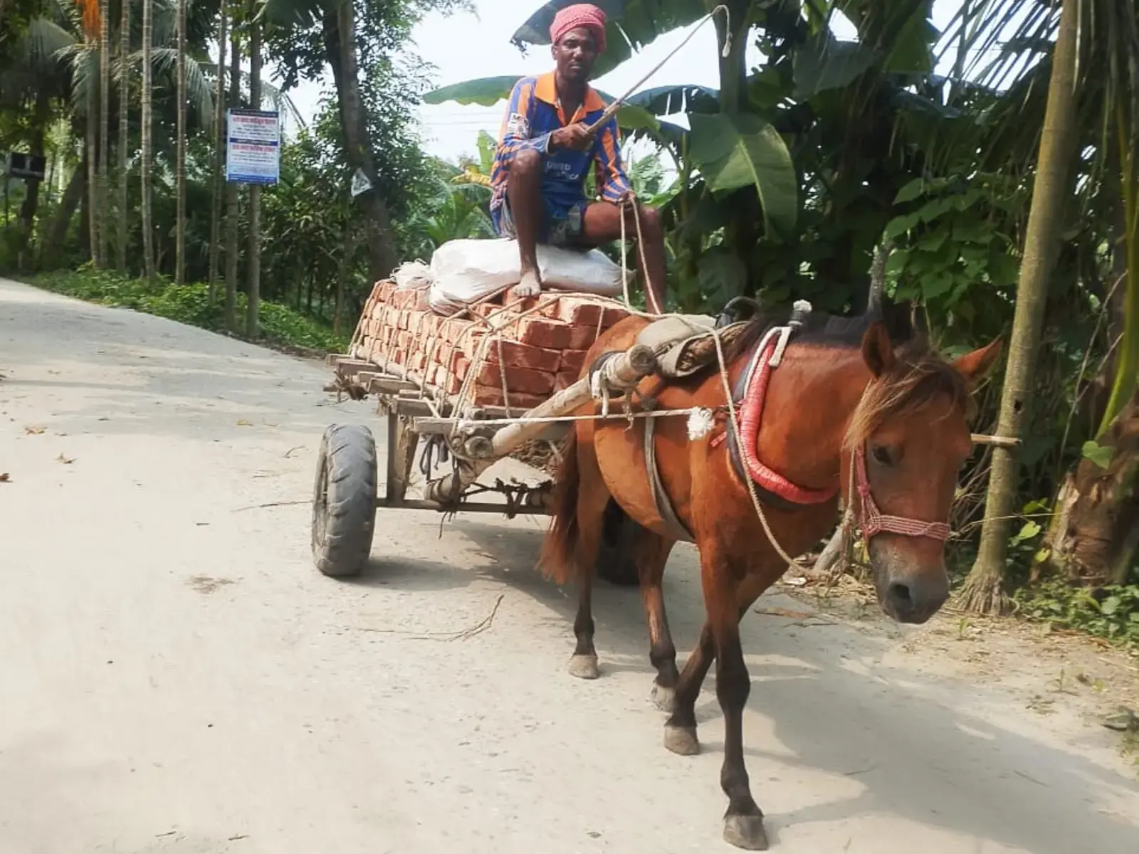 A locally operated cart moving goods along a rural road in Bangladesh