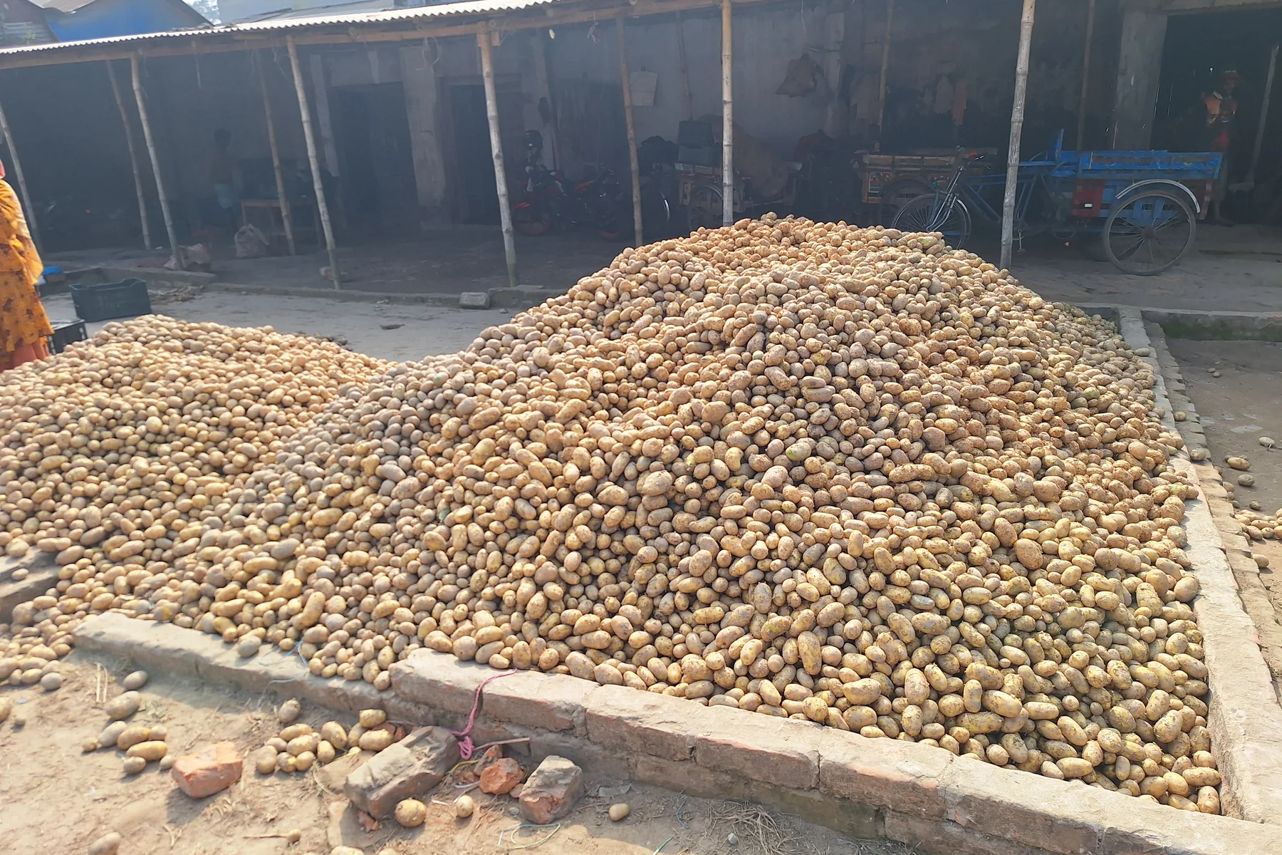 Produce weighed at a wholesale market
