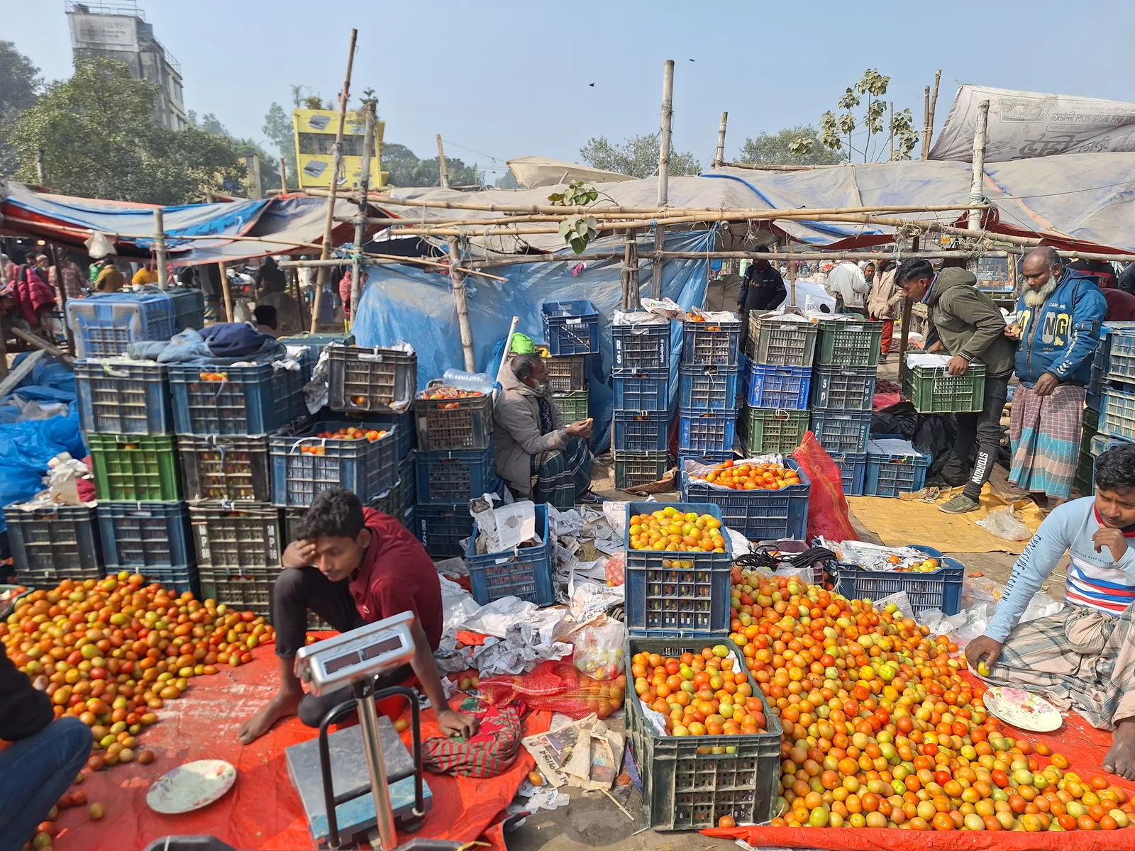 Produce being weighed and aggregated in a wholesale market