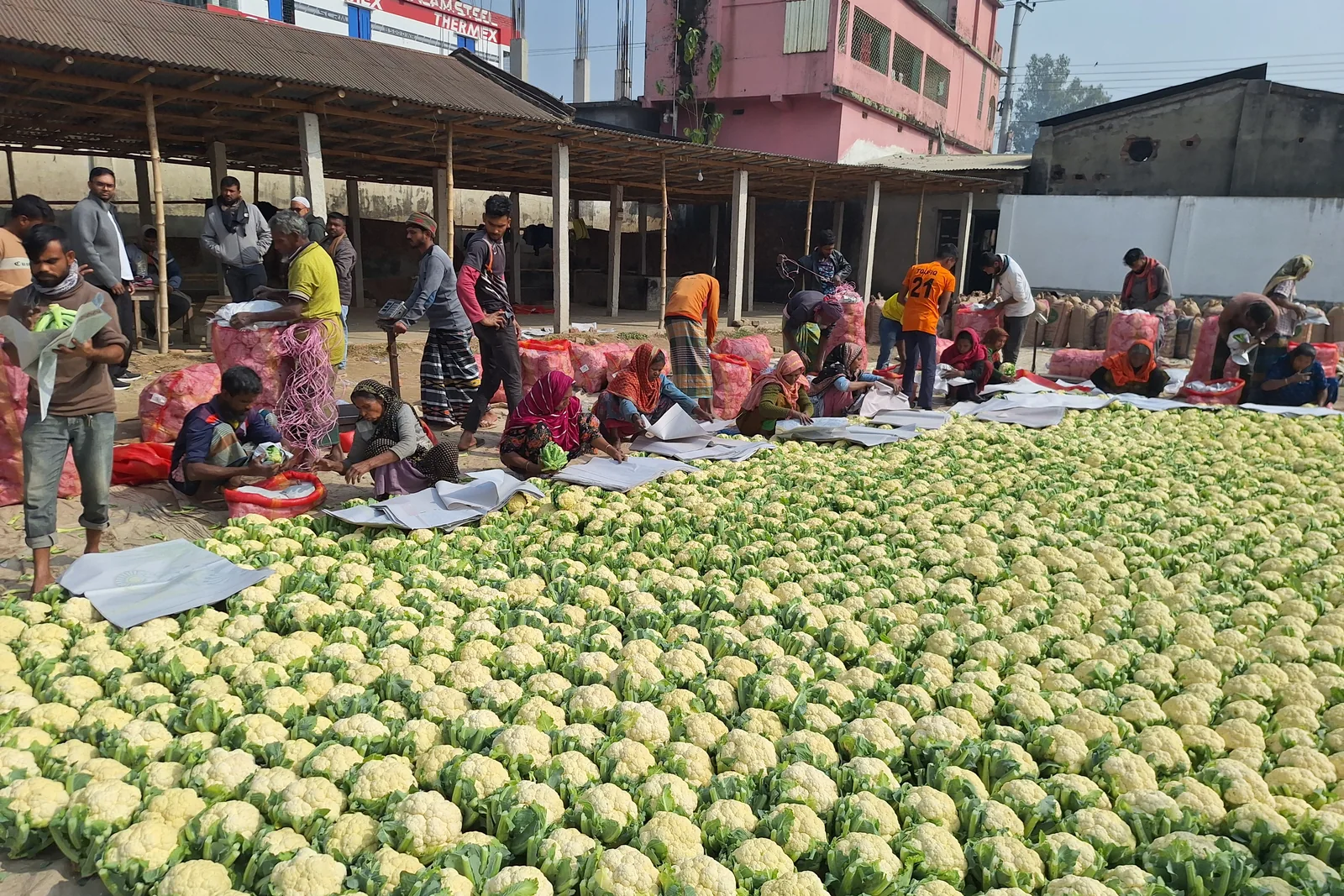 Cauliflower aggregated across a wholesale market floor